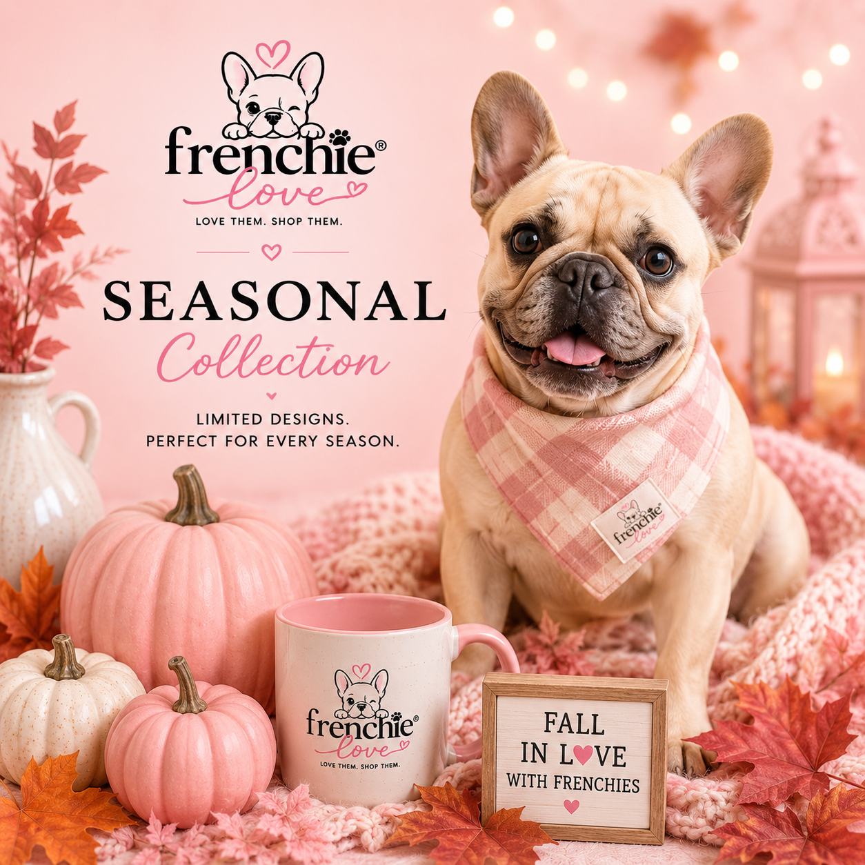 Seasonal Collection